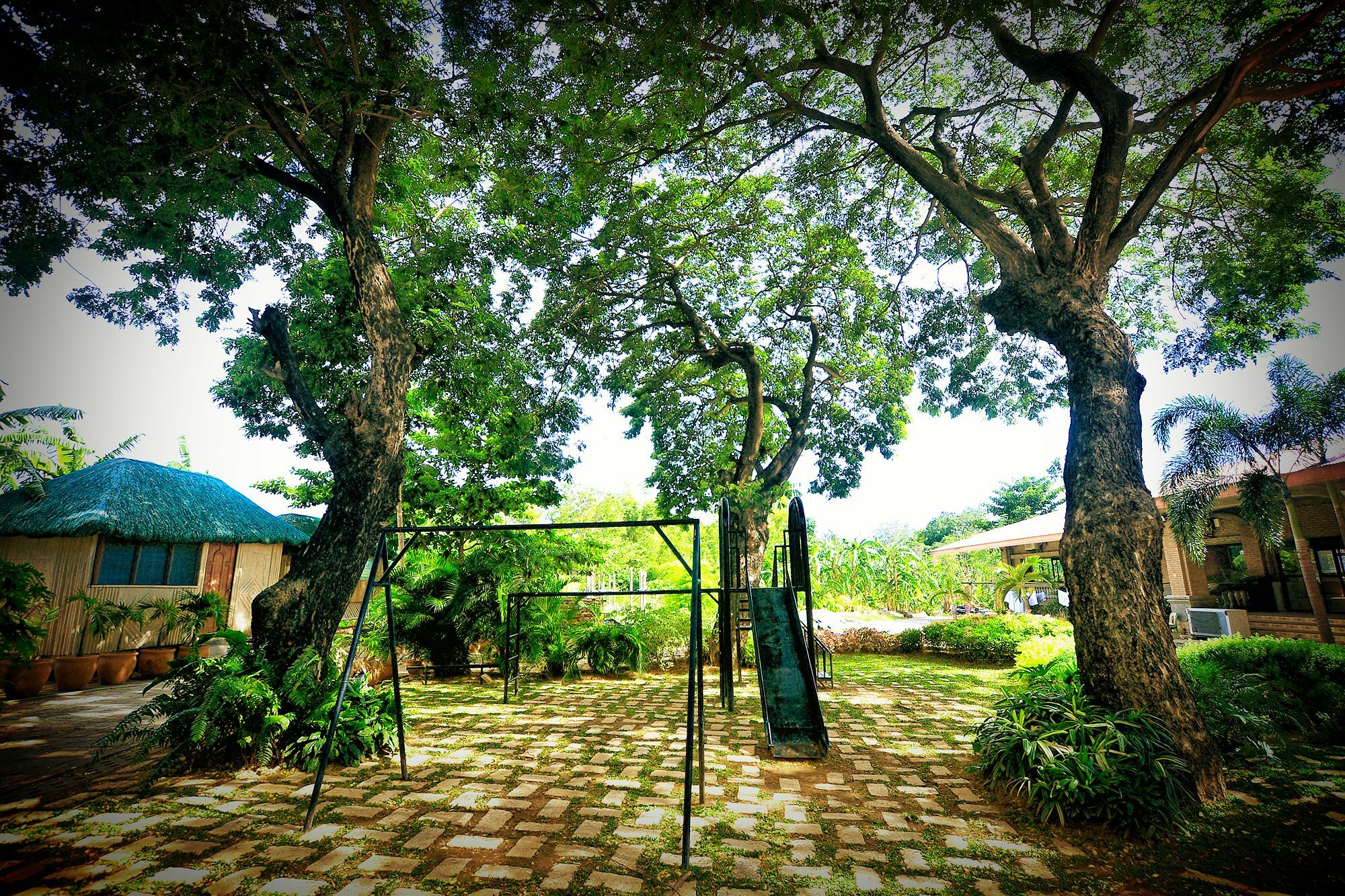 Reddoorz Plus Near Vigan Convention Center المظهر الخارجي الصورة